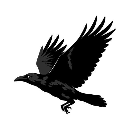 Raven Injury Law, P.C. cover