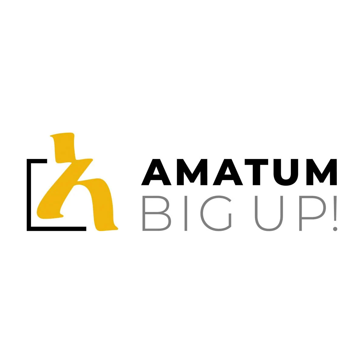 AMATUM Academy cover