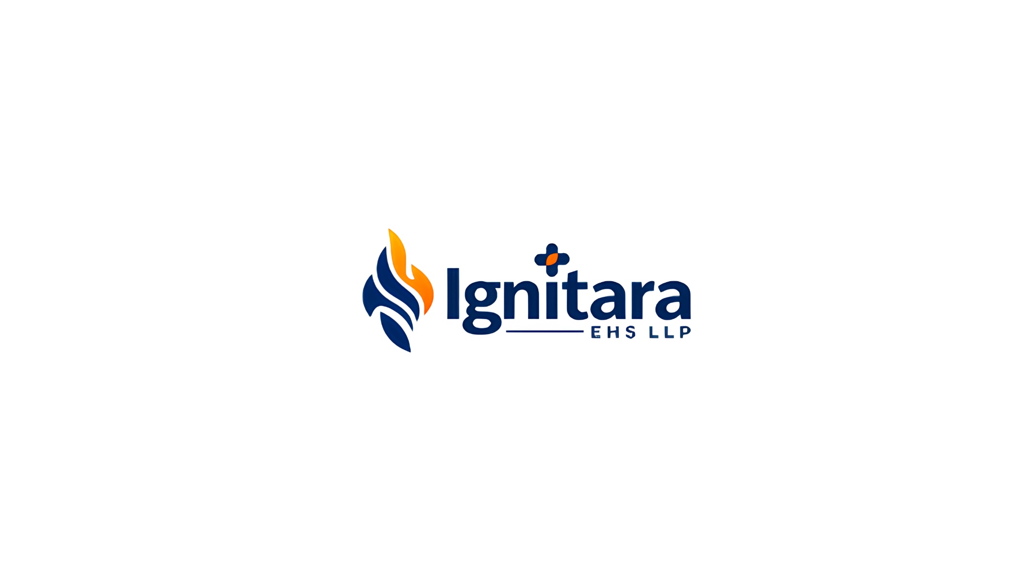 Ignitara EHS LLP cover