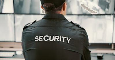 VP Security Guards cover
