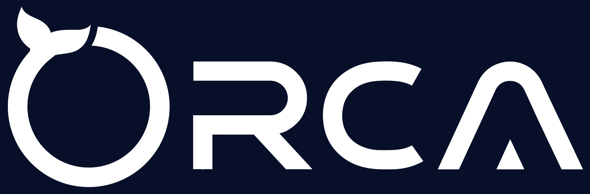 Software Orca - Software development company in Houston cover