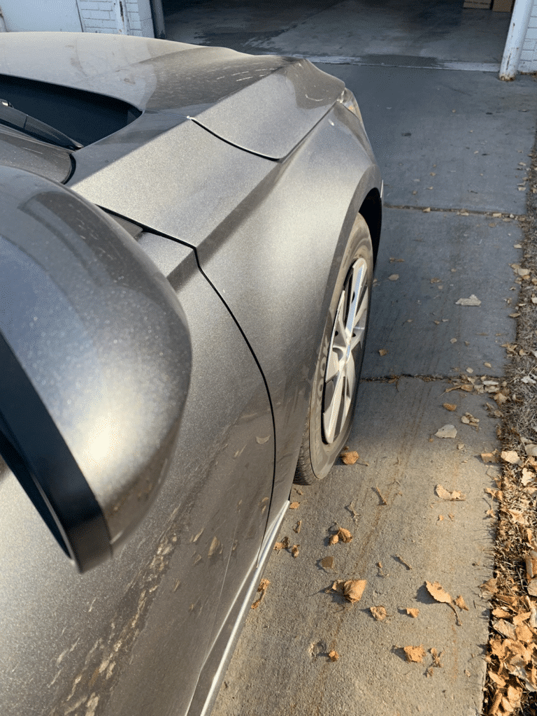 Pro Dent cover