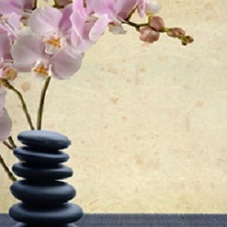 Kat Shea Healing Arts