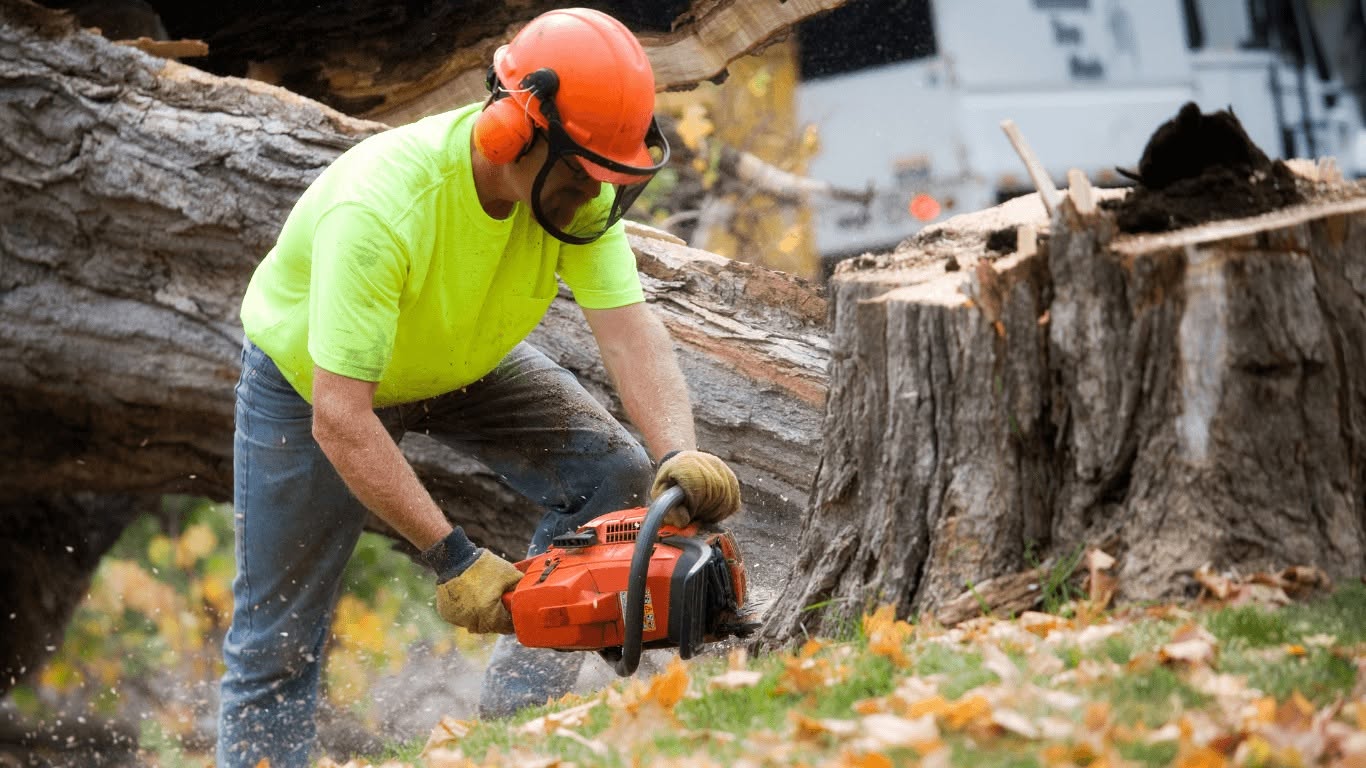 Loggers Herriman Tree Service