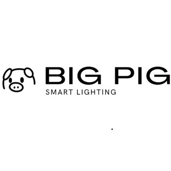 Big Pig Smart Lighting