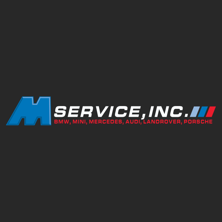 M Service Inc