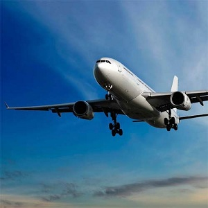 Alpha Voyages Travel
